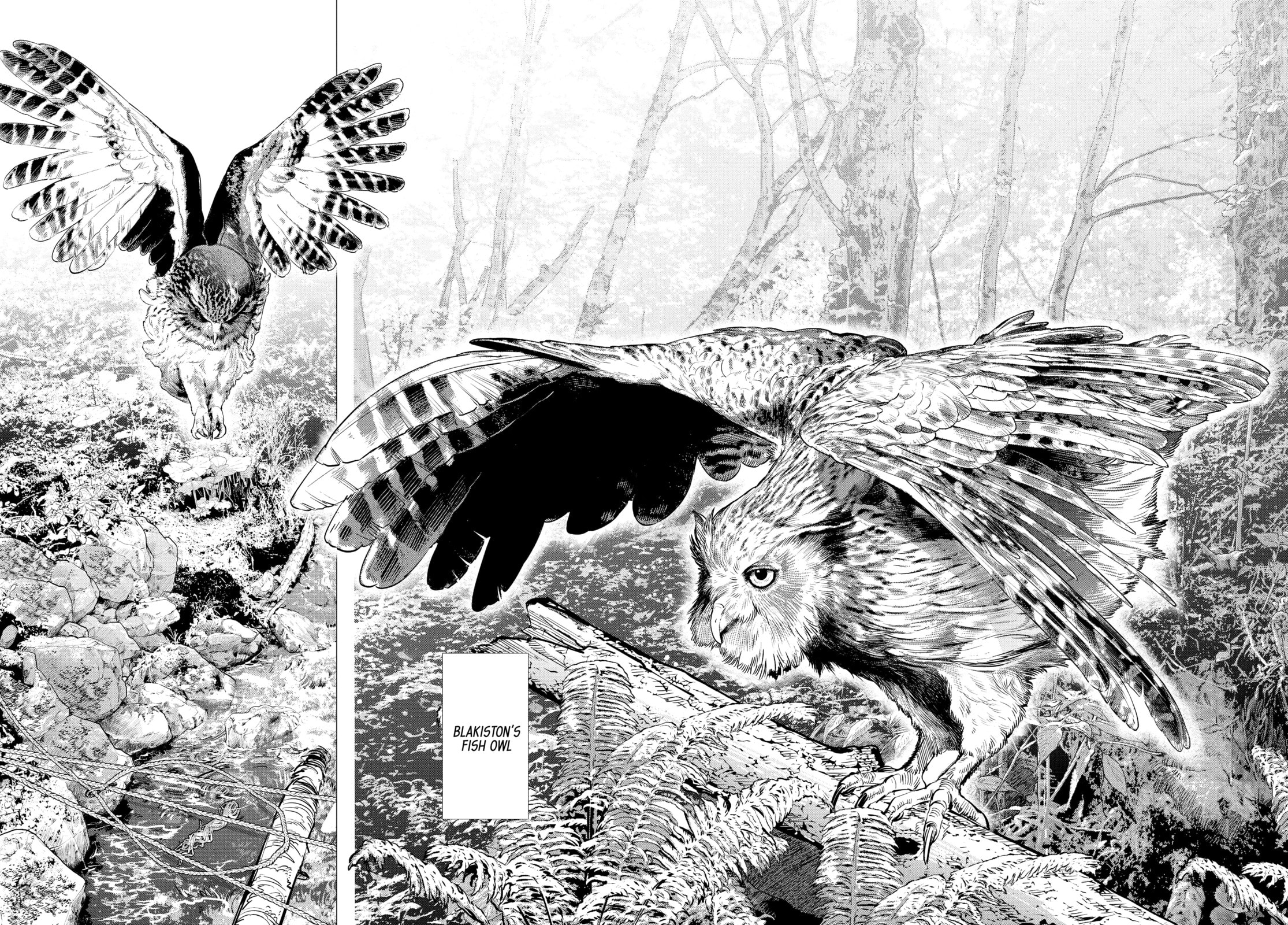 Golden Kamuy chapter 119, page 11