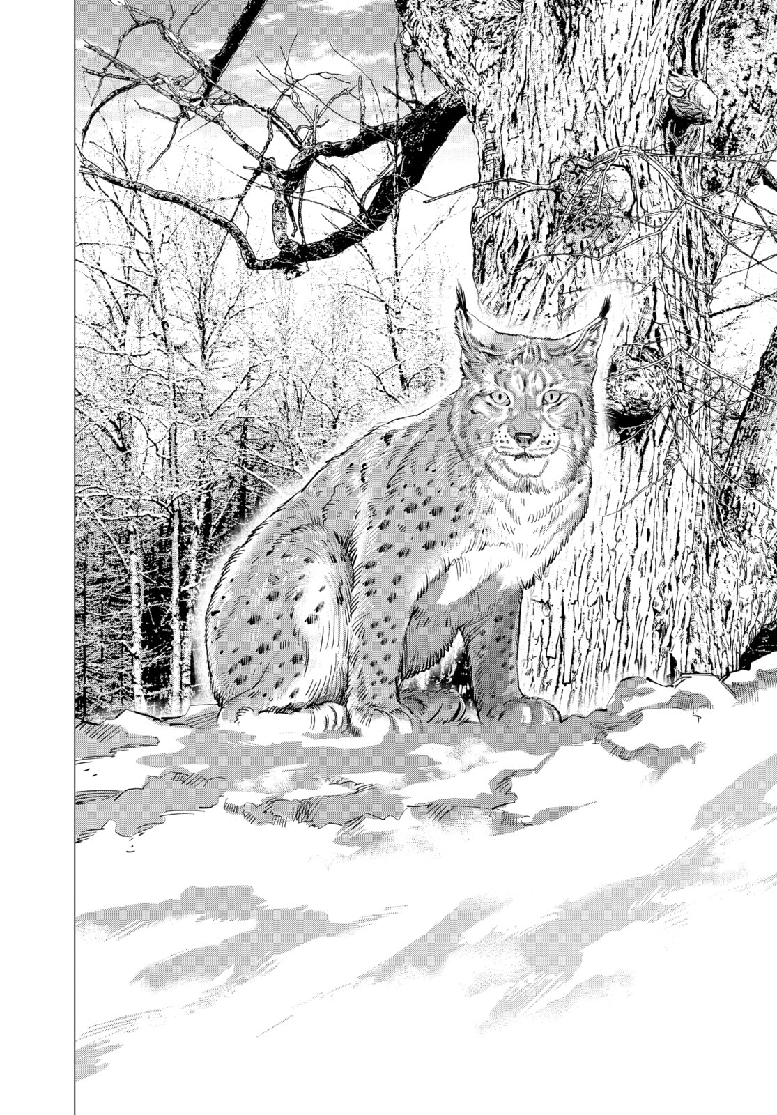 Golden Kamuy chapter 169, page 16