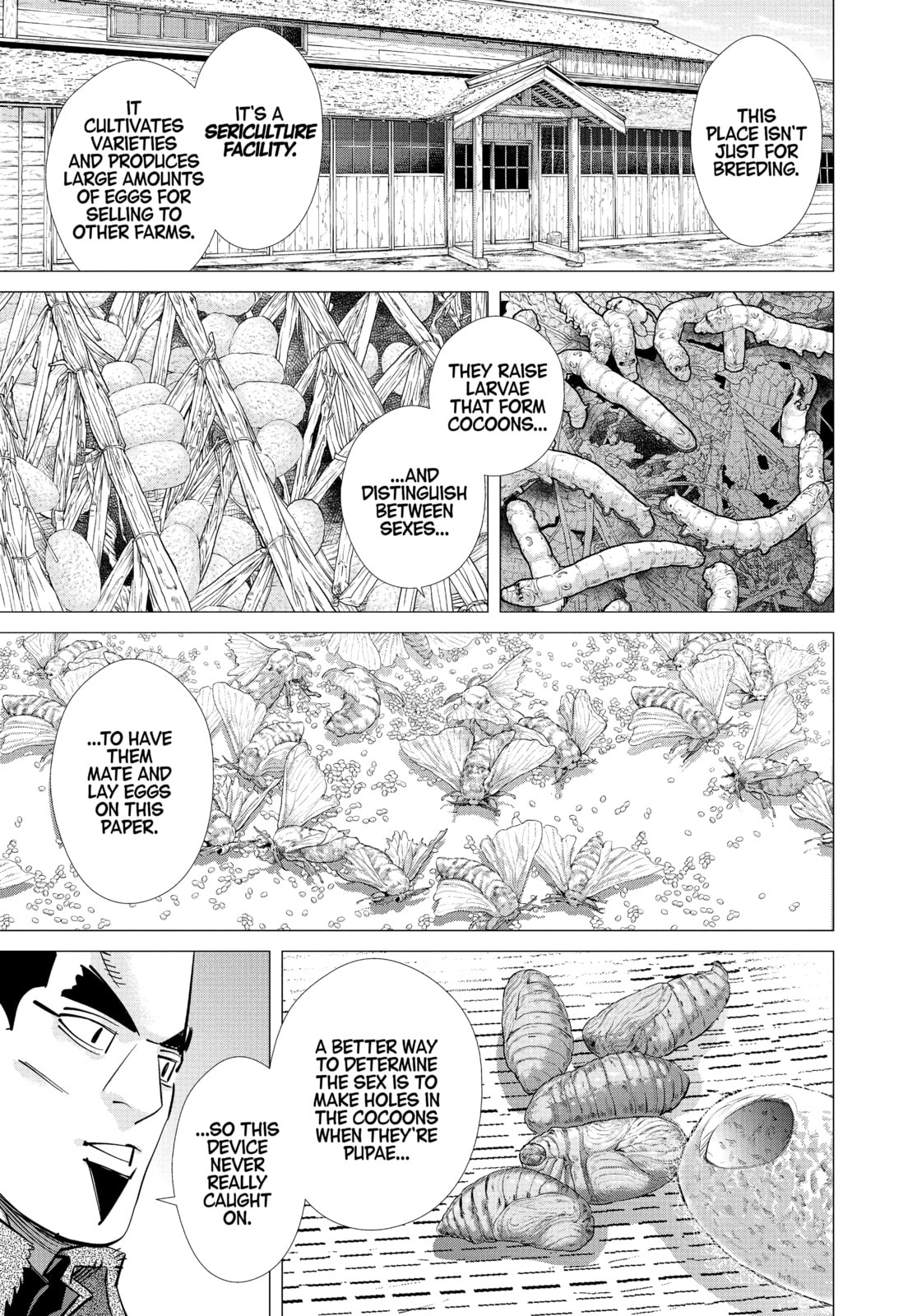 Golden Kamuy chapter 175, page 6