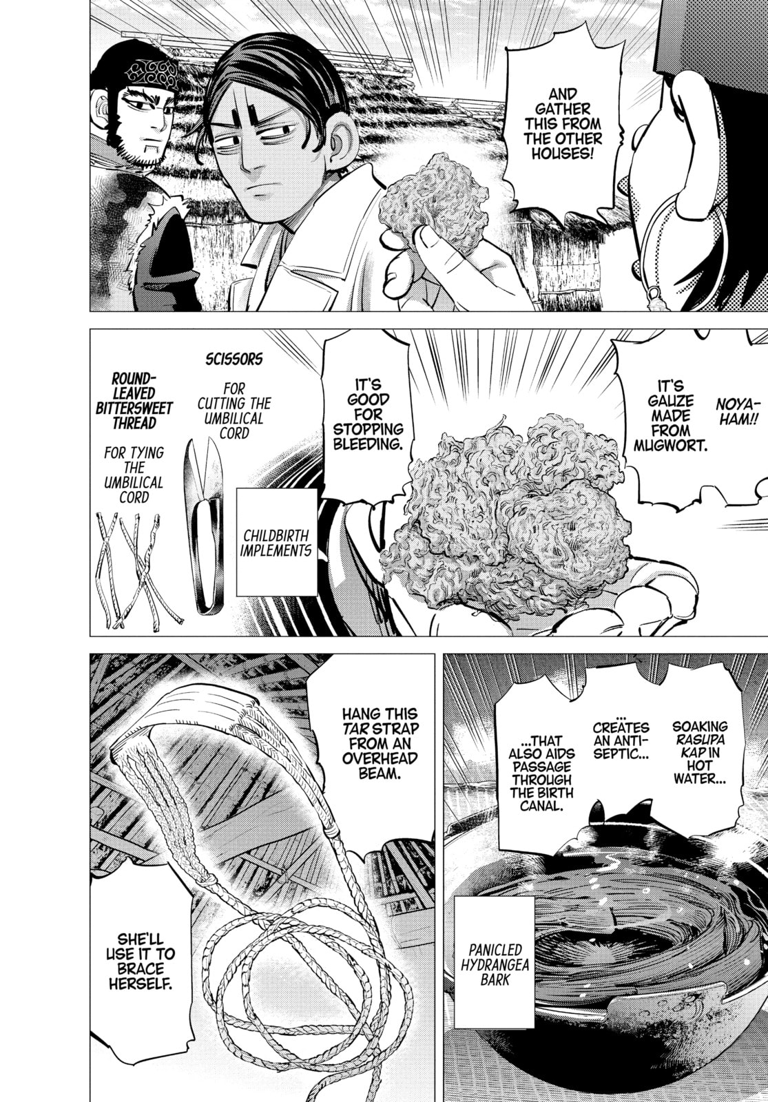 Golden Kamuy chapter 231, page 14