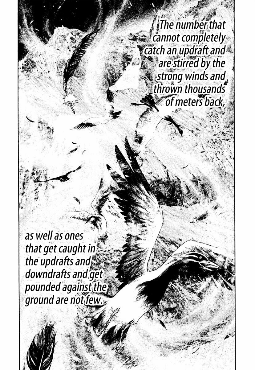 The Climber chapter 168, page 13