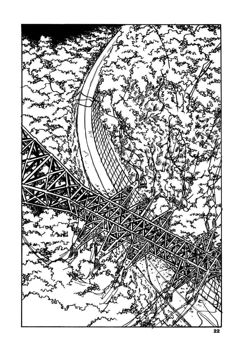 Soil chapter 0, page 19
