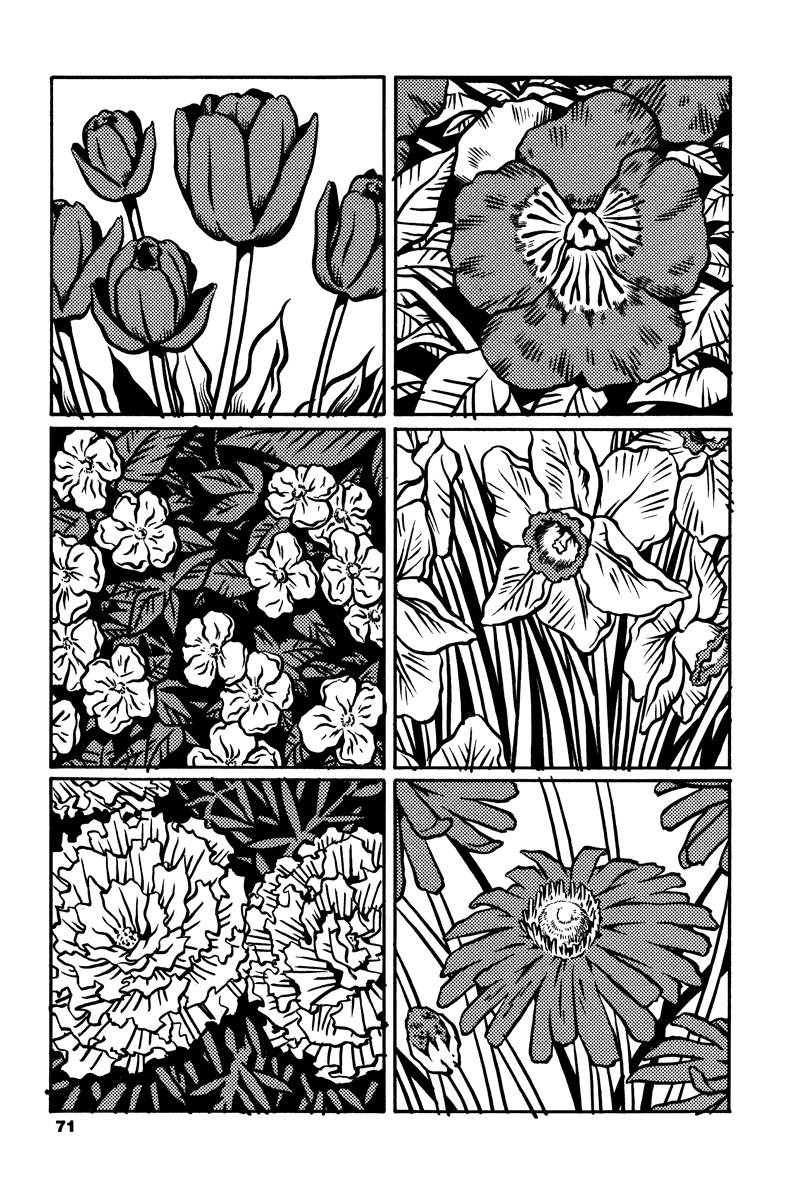 Soil chapter 2, page 2