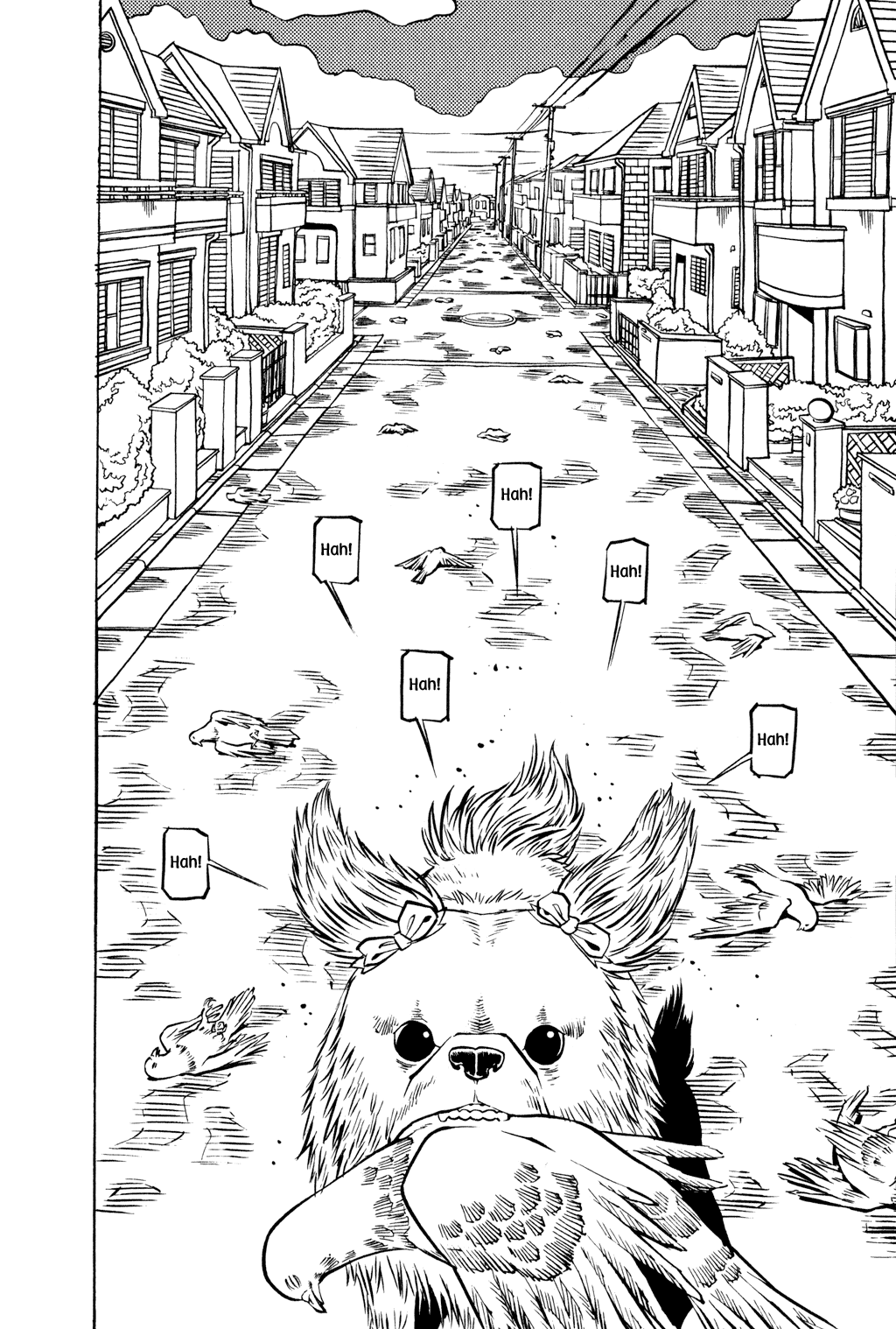 Soil chapter 25, page 10