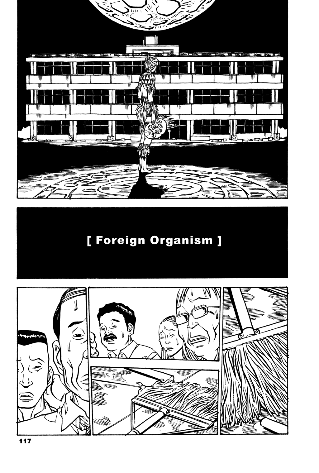 Soil chapter 29, page 6